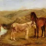 Bonheur_Rosa_A_Horse_And_Donkeys_In_A_Hilly_Landscape