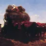 The_Return_from_the_Harvest
