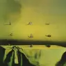 1936_23_Morphological Echo, 1936