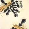 1936_30_The Ants, 1936-37