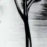 1952_19_The Tree, 1952