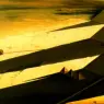 1954_24_The Pyramids and the Sphynx of Gizeh, 1954