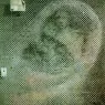 1958_03_The Sistine Madonna, 1958