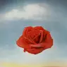 1958_06_Meditative Rose, 1958