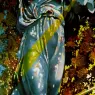 1977_11_Nike, Victory Goddess of Samothrace, Appears in a Tree Bathed in Light, circa 1977