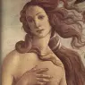 Venus_detail_EUR