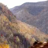 Gifford_Sanford_Robinson_View_near_Kauterskill_Cove