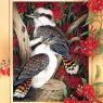 p-Australian_Birds_Cal2003_03