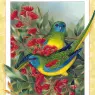 p-Australian_Birds_Cal2003_06
