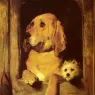 Landseer_Sir_Edwin_Henry_Dignity_And_Impudence