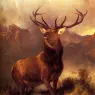 Landseer_Sir_Edwin_Monarch_Of_The_Glen