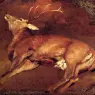 Landseer_Sir_Edwin_Study_Of_A_Dead_Stag