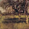 An_orchard_in_May