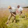 Clausen_Sir_George_The_Mowers