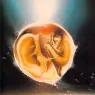 ma_Siudmak_Vol3_Foetus_metaphysique