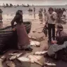 Forbes_Stanhope_A_Fish_Sale_on_a_Cornish_Beach