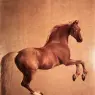 STUBBS_George_Whistlejacket