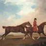 STUBBS_George_William_Anderson_With_Two_Saddle_horses