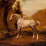 Stubbs_George_A_Grey_Stallion_In_A_Landscape