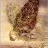 0uro0196__sulamith_wulfing__transfiguration