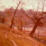 Steele_Theodore_C_The_Bloom_Of_Grape_1893