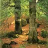 Steele_Theodore_Clement_Vernon_Beeches