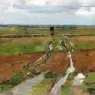 Robinson_Theodore_Barbizon