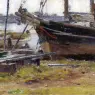 Robinson_Theodore_The_E._M._J._Betty