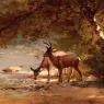 Hill_Thomas_Deer_in_a_Landscape