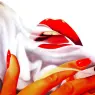 Tom Wesselmann