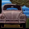 CAO5YJ8H