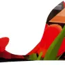 Tom Wesselmann