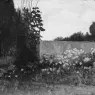 Vedder_Elihu_Cypress_And_Poppies