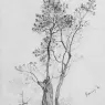 Vedder_Elihu_Perugia