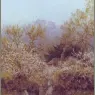 bpd_VictorianCottages_11