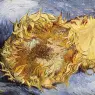 Van_Gogh_Vincent_Sunflowers_1887