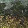 Vincent van Gogh (1853-1890)