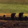 Van_Gogh_Vincent_Two_Peasant_Women_in_the_Peat_Fields