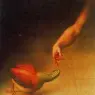 Visualizador de imagen