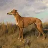 Wardle_Arthur_Henrietta_Horn_A_Greyhound