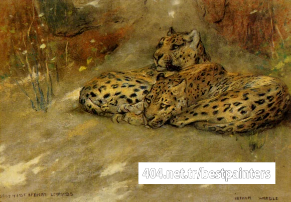 Wardle_Arthur_Study_Of_East_African_Leopards