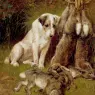 Wardle (1864-1949)