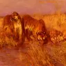 Wardle_Arthur_The_Tiger_Pool