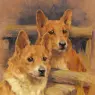 Wardle_Arthur_Two_Corgies