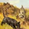 Wardle_Arthur_Two_Scotties_In_A_Landscape