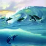 ma_Warren_Painted_Worlds_Surfin_Dolphins
