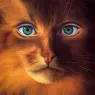 ma_Warren_Painted_worlds_Cat_Woman
