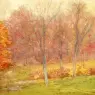 Weir_Julian_Alden_Autumn_Rain