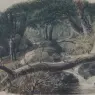 Weir_Robert_Walter_The_Entrance_To_A_Wood