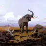 Kuhnert_Wilhelm_In_The_Twilgiht_Elephants